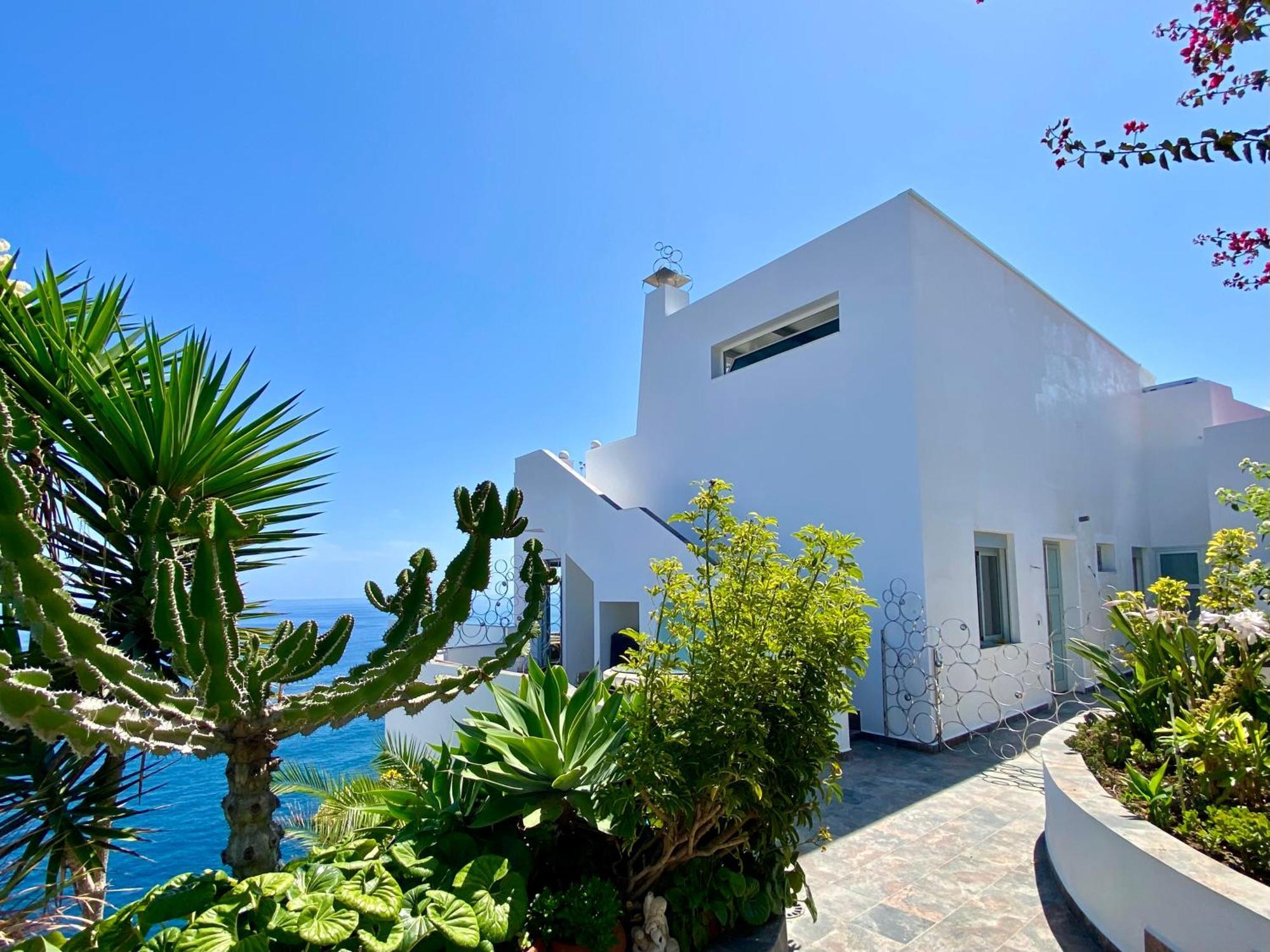 פוארטו דה לה קרוז Villa Oasis La Paz - Pelinor Studio - Adults Only מראה חיצוני תמונה