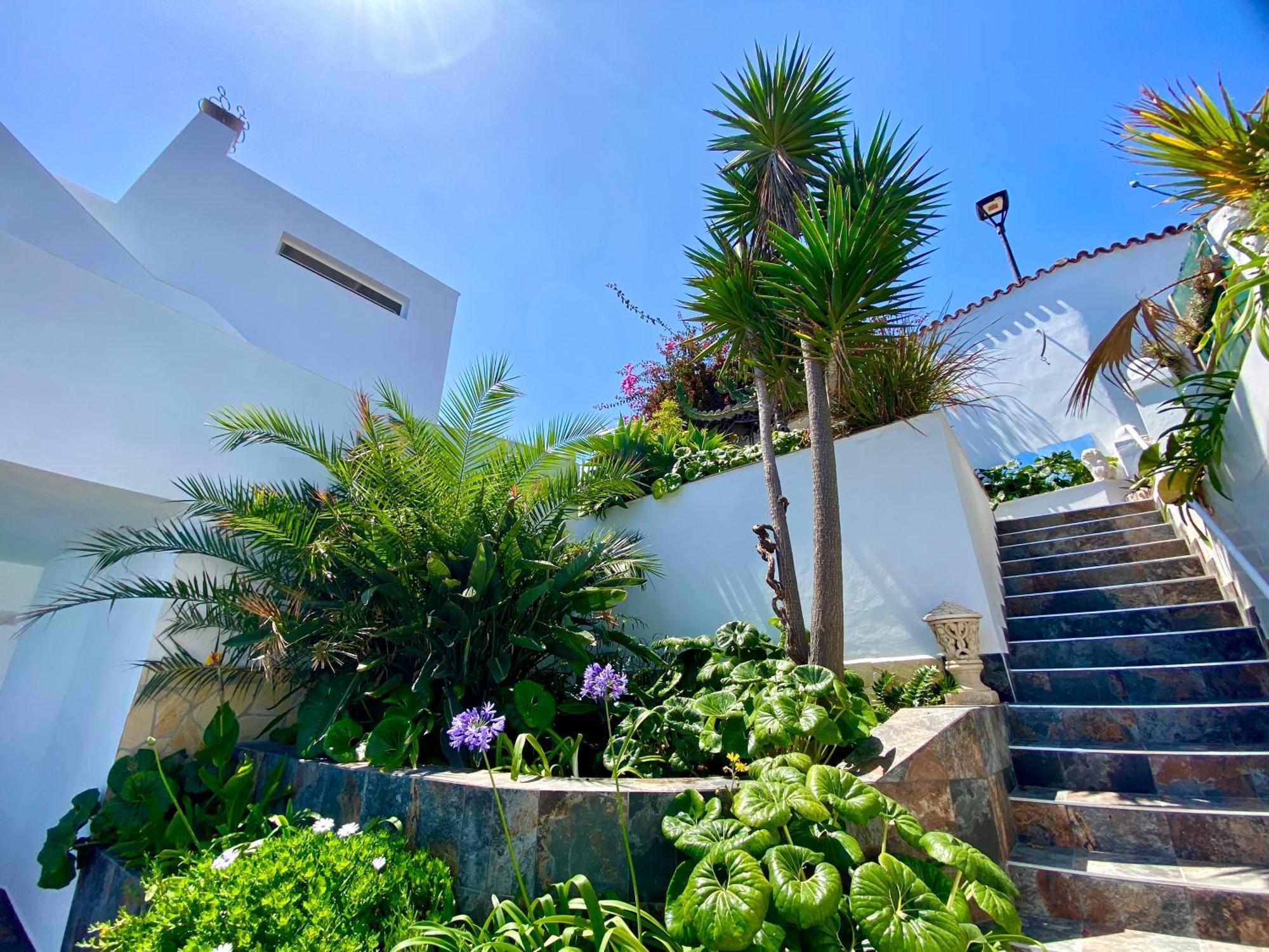 פוארטו דה לה קרוז Villa Oasis La Paz - Pelinor Studio - Adults Only מראה חיצוני תמונה