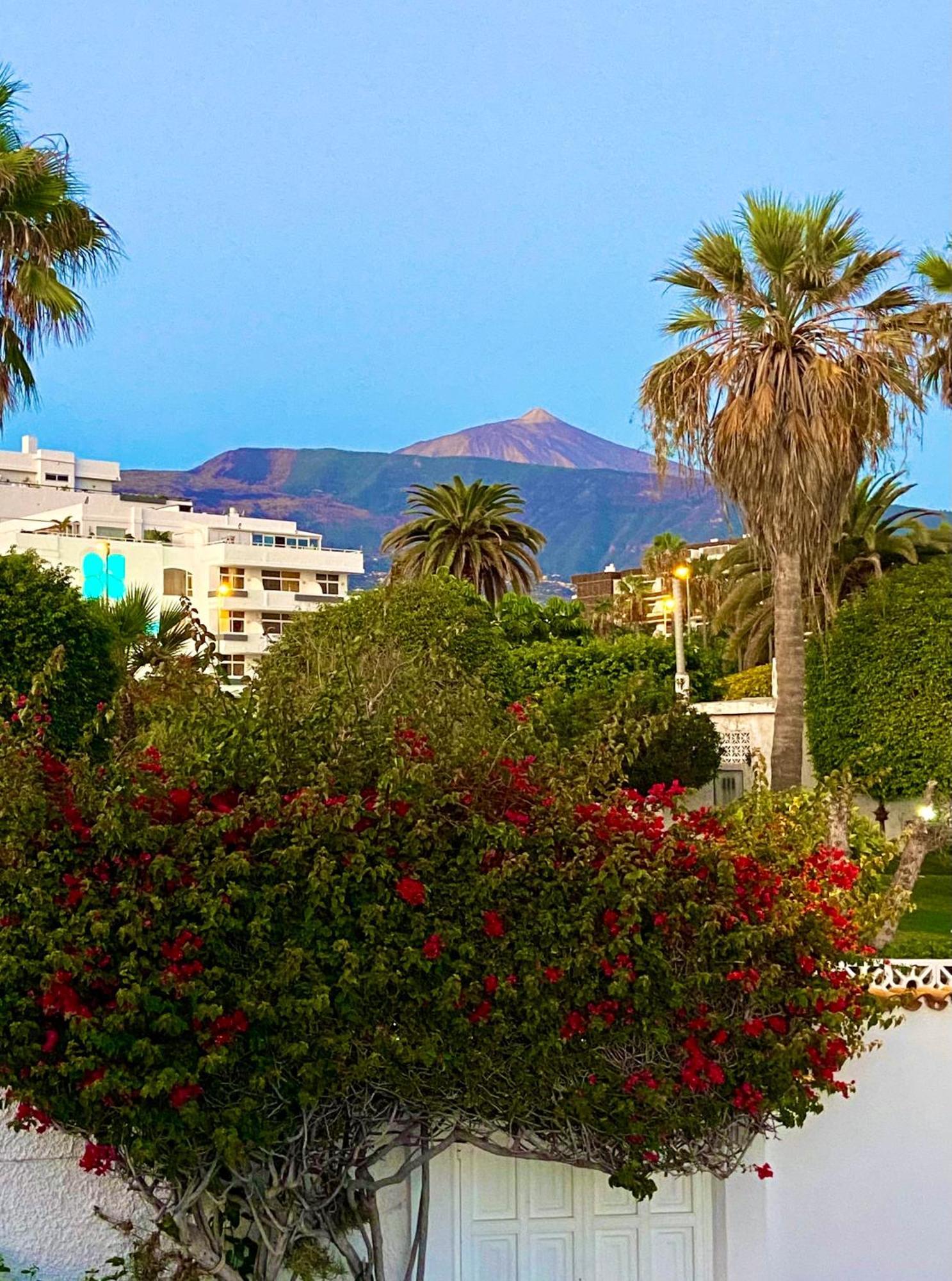 פוארטו דה לה קרוז Villa Oasis La Paz - Pelinor Studio - Adults Only מראה חיצוני תמונה