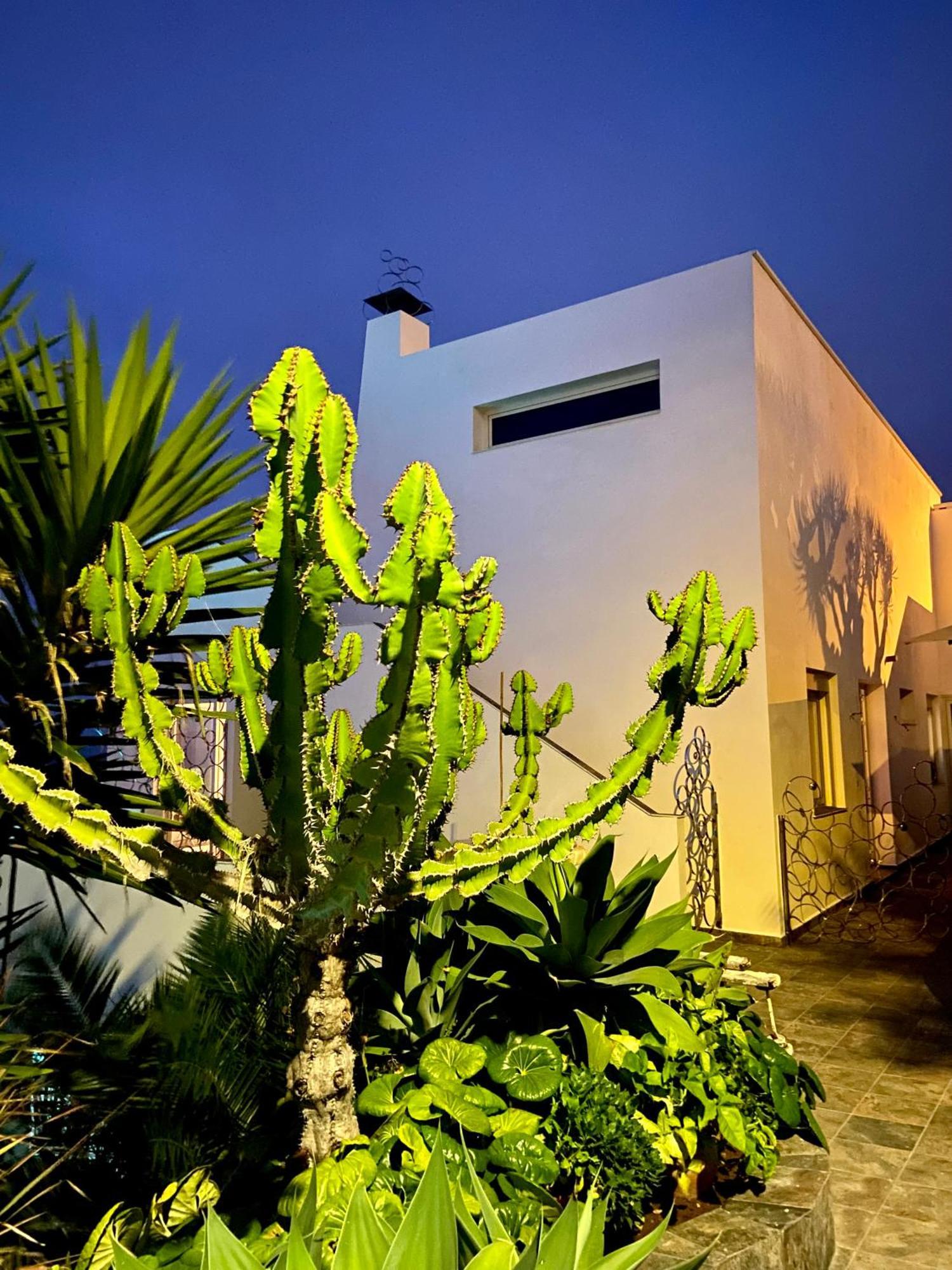 פוארטו דה לה קרוז Villa Oasis La Paz - Pelinor Studio - Adults Only מראה חיצוני תמונה