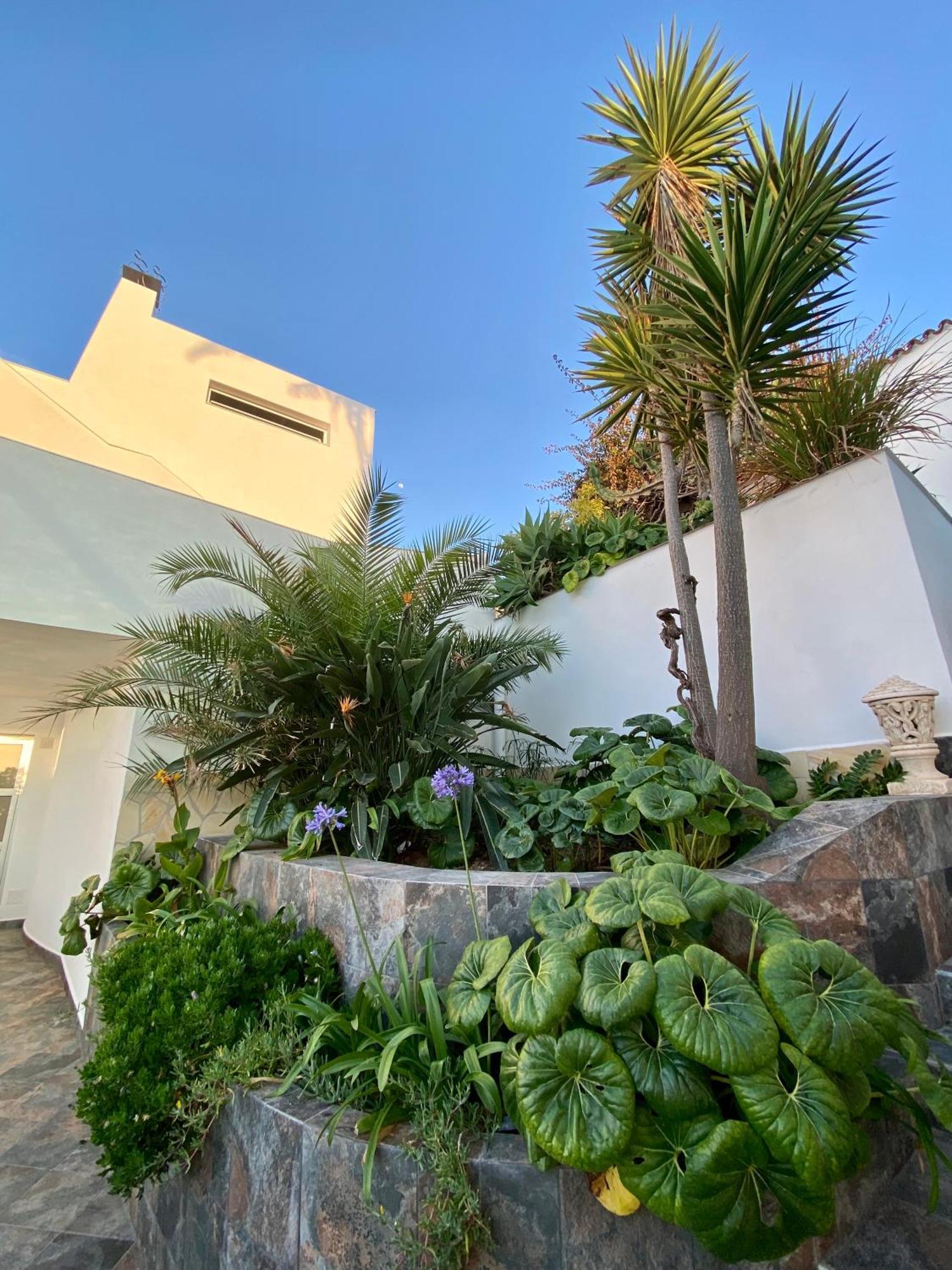 פוארטו דה לה קרוז Villa Oasis La Paz - Pelinor Studio - Adults Only מראה חיצוני תמונה