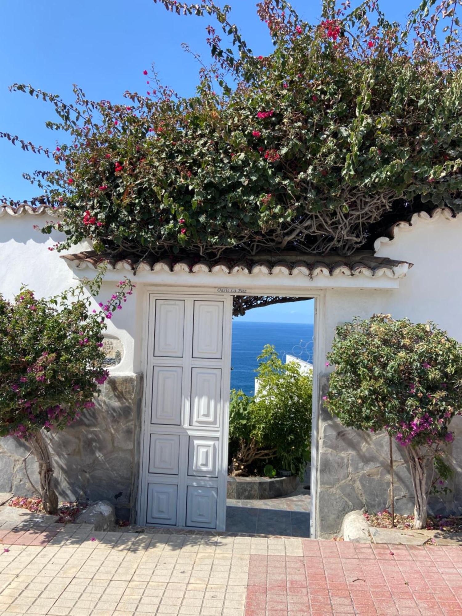 פוארטו דה לה קרוז Villa Oasis La Paz - Pelinor Studio - Adults Only מראה חיצוני תמונה