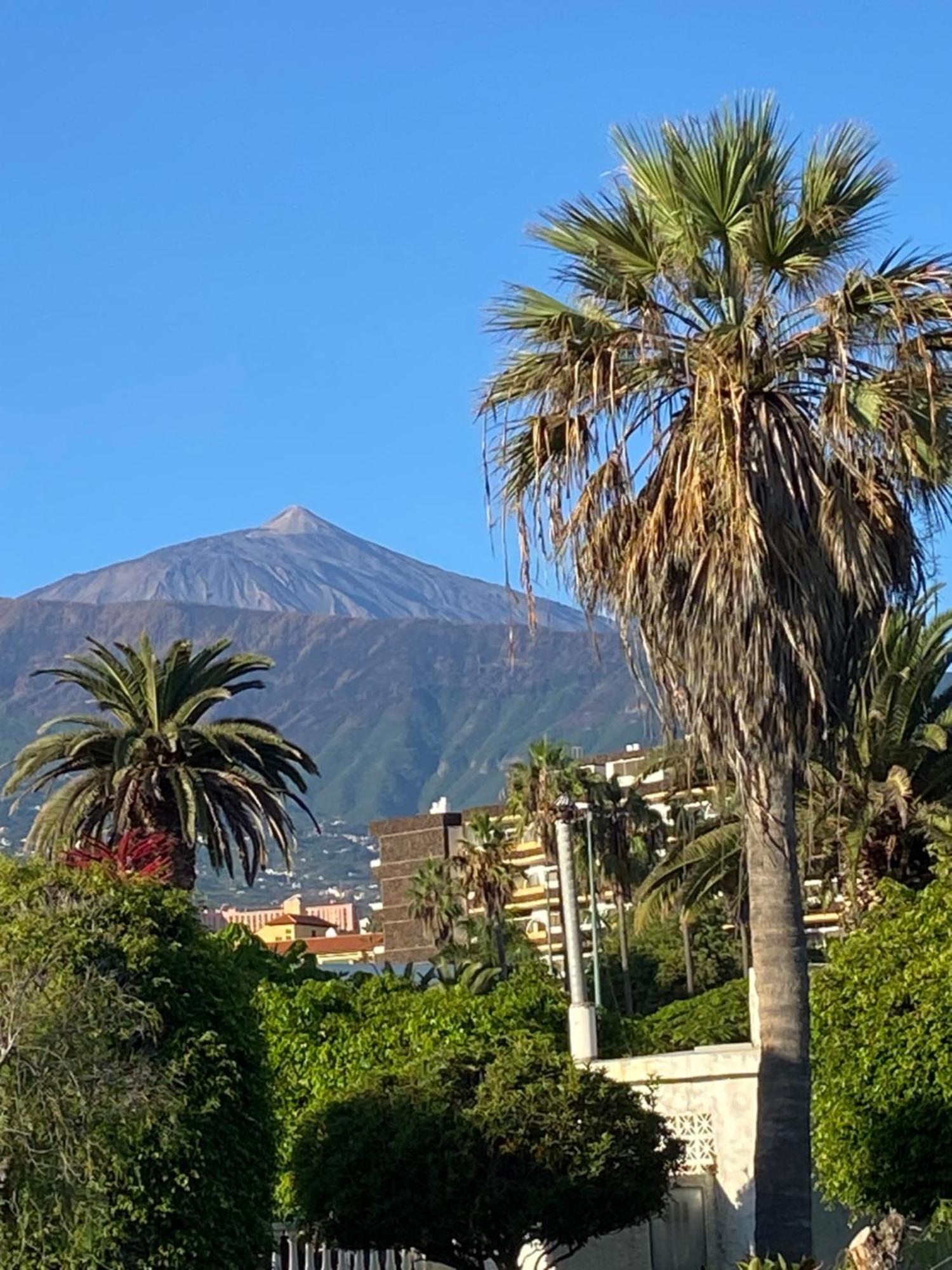 פוארטו דה לה קרוז Villa Oasis La Paz - Pelinor Studio - Adults Only מראה חיצוני תמונה